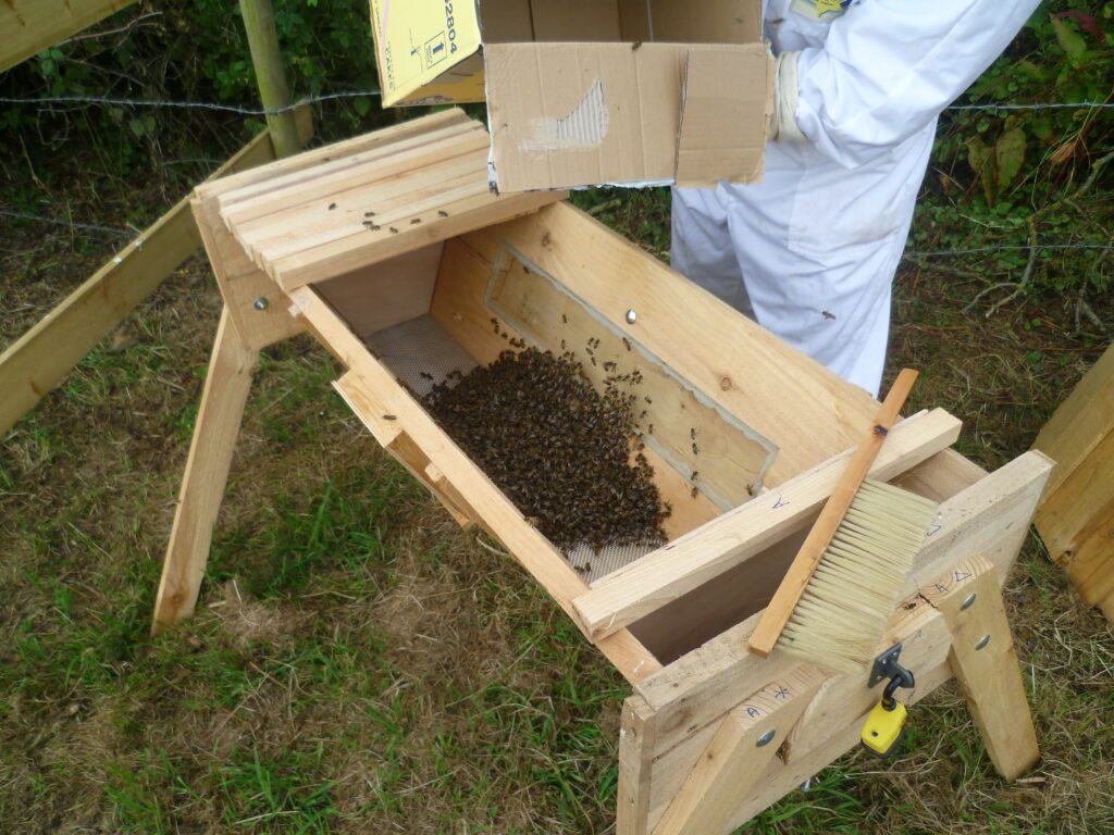 Putting the bees into the hive